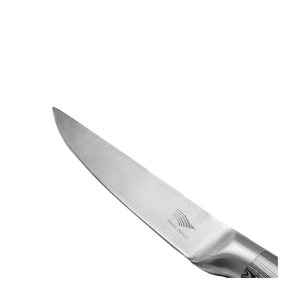 Set de 6 couteaux à steak design