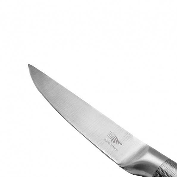 Set de 6 couteaux à steak design