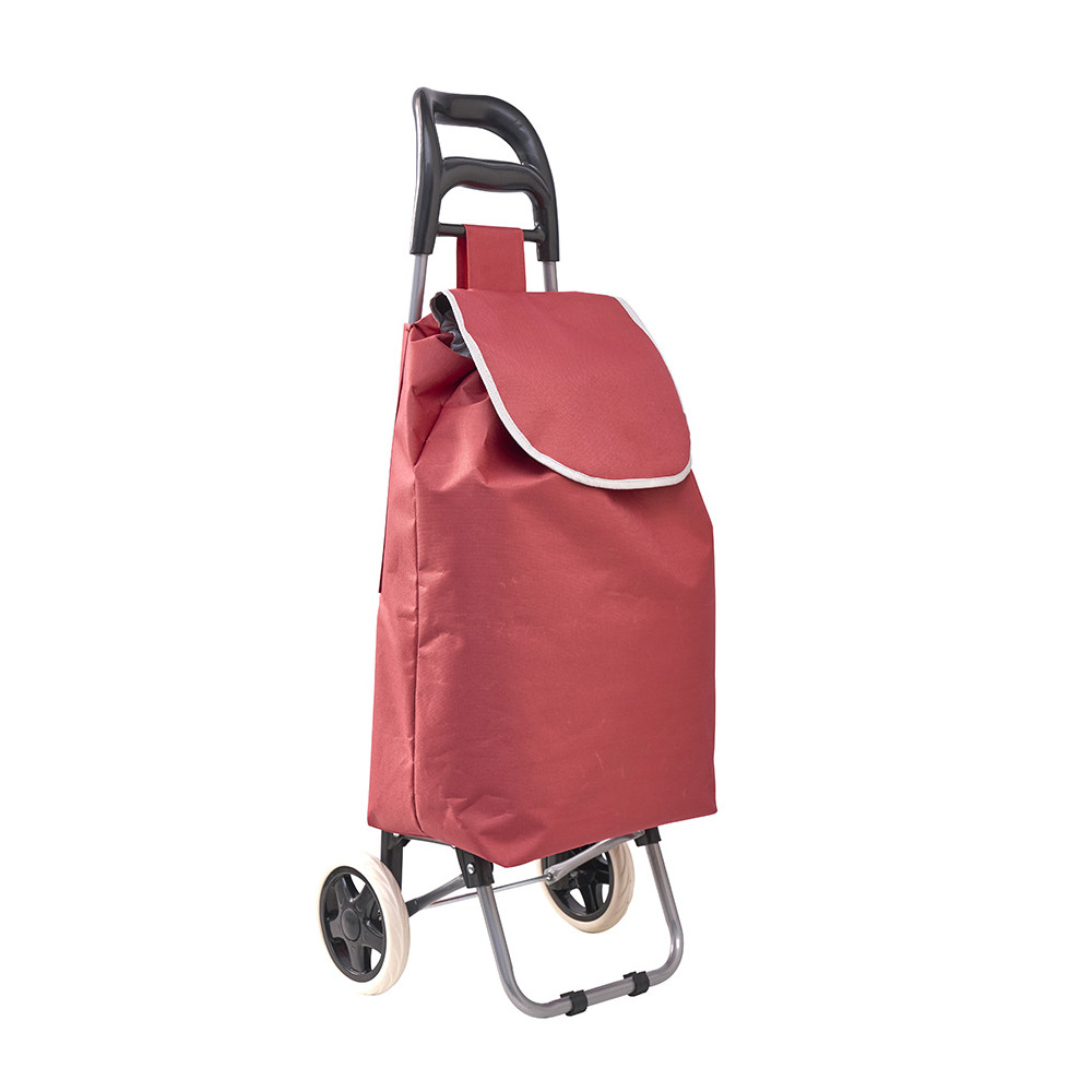 Chariot de courses avec 2 sacs interchangeables