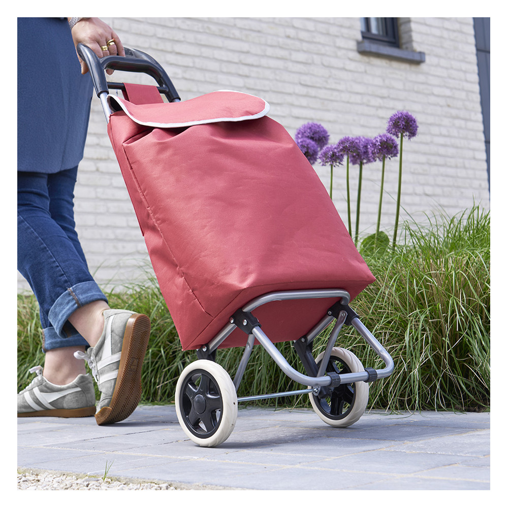 Chariot de courses avec 2 sacs interchangeables
