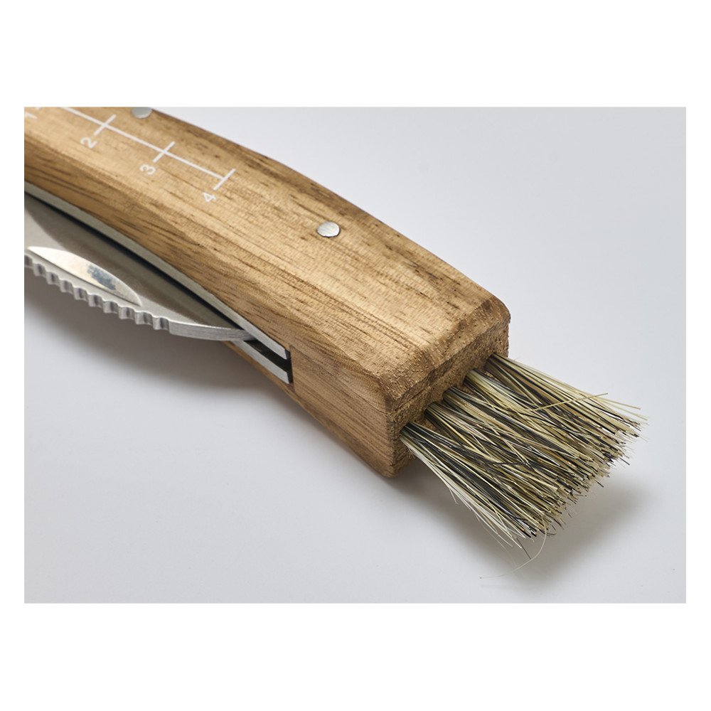 Couteau à champignon