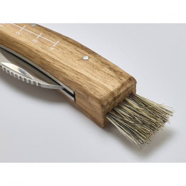 Couteau à champignon