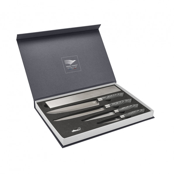 Coffret 4 couteaux avec support magnétique